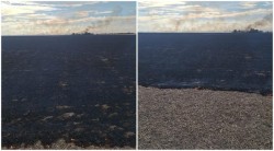 Arădeni nu vă mai jucați de-a piromanii căci riscați mult! 50 de hectare de vegetație uscată în flăcări la Nădab, cu riscul de propagare la construcții

