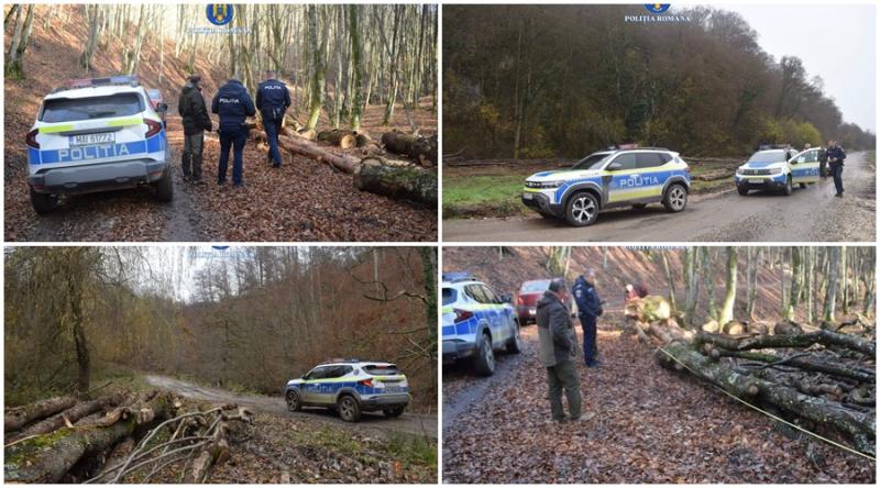 Amenzi de 40.000 de lei și 181 metri cubi de lemn confiscat în urma unei acțiuni pentru protecția fondului silvic în județul Arad