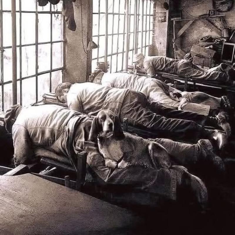 De ce nu-i durea spatele pe muncitori în urmă cu un secol. Ce rol aveau câinii în procesul de producție