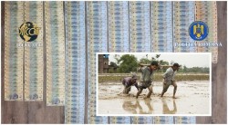 Sclavie modernă în Arad! Percheziții într-o cauză privind traficul de persoane și supunerea la muncă forțată