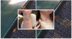 Pentru doritorii de senzații tari! Călătoriți cu trenul: 190 de lei ca să fii mușcat de ploșnițe