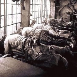 De ce nu-i durea spatele pe muncitori în urmă cu un secol. Ce rol aveau câinii în procesul de producție