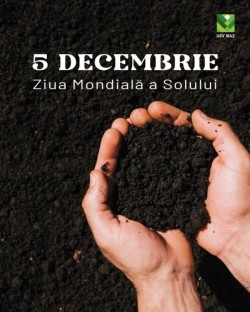 5 decembrie - Ziua Mondială a Solului