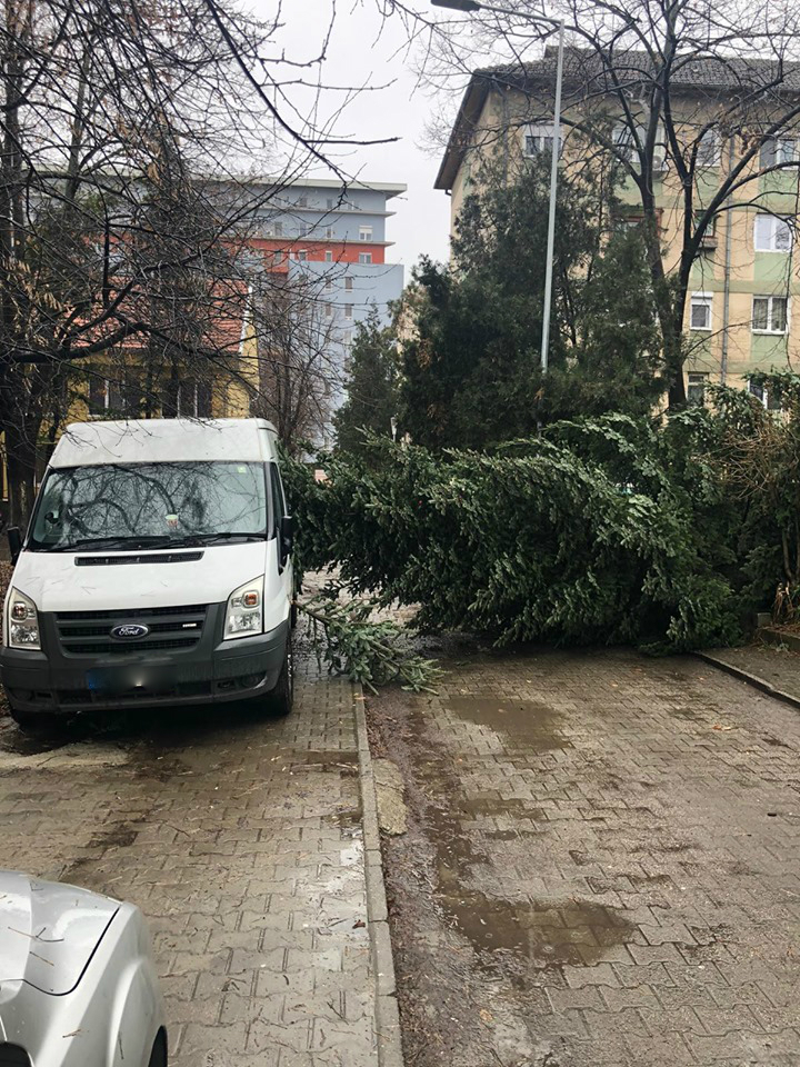 Atenție, arădeni unde parcați! Un copac a căzut peste un autoturism 2