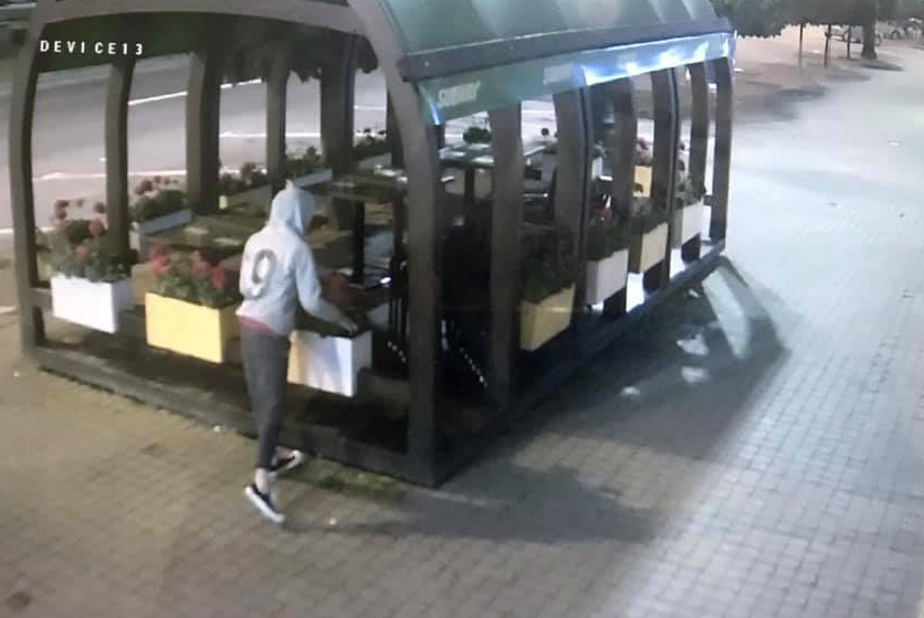 Atunci când n-ai bani de flori, le iei noaptea de pe o terasă. Cu tot cu ghiveci