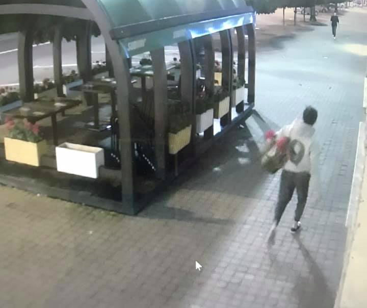 Atunci când n-ai bani de flori, le iei noaptea de pe o terasă. Cu tot cu ghiveci