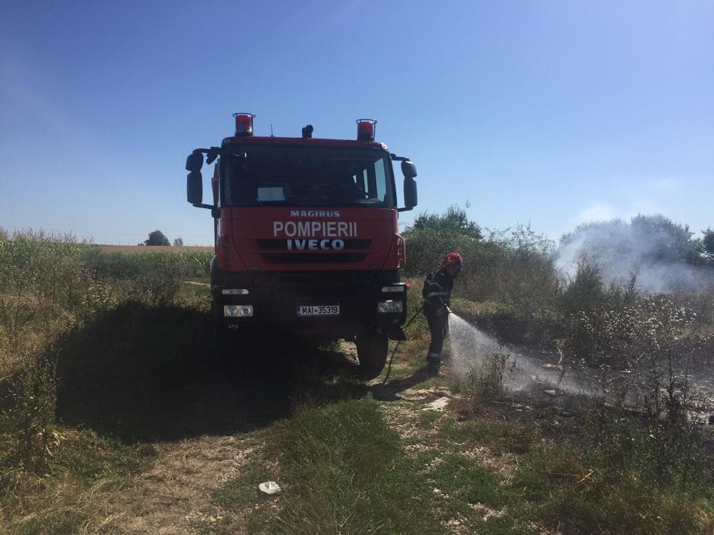 Incendiu violent de vegetație la ieșire din Arad 2
