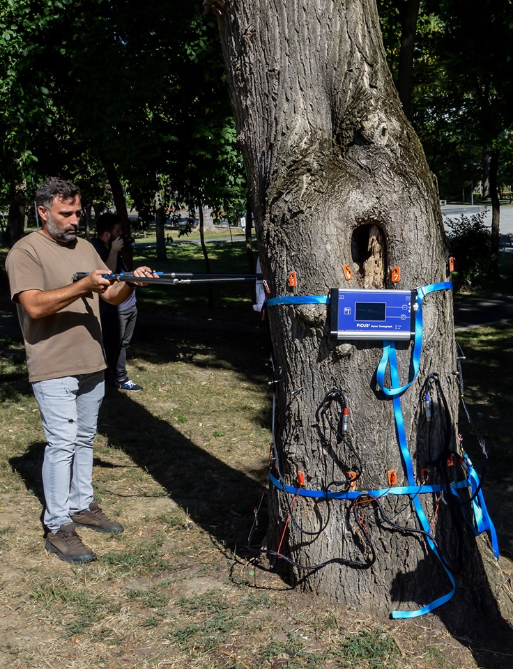 Tomograf pentru scanarea copacilor o achiziție a Primăriei pentru un oraș verde 1